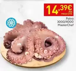 Recheio Masterchef - polvo 3000/4000 promoção