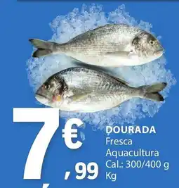 E.Leclerc Dourada promoção