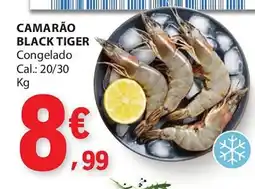 E.Leclerc Camarão black tiger promoção