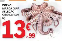 E.Leclerc Polvo marca guia seleção promoção