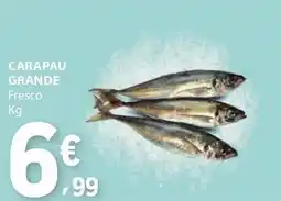 E.Leclerc Carapau grande fresco promoção