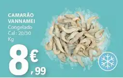 E.Leclerc Camarão vannamei promoção