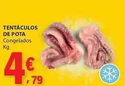 E.Leclerc Tentáculos de pota congelados promoção