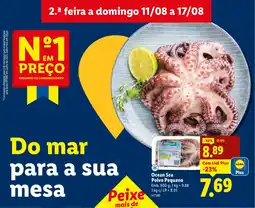 Lidl Ocean Sea Polvo Pequeno promoção