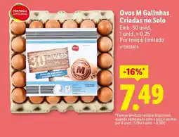 Lidl Ovos de galinhas criadas no solo promoção