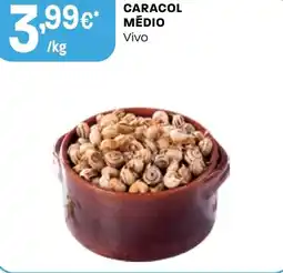 Intermarché Caracol médio vivo promoção