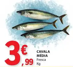 E.Leclerc Cavala média fresca promoção