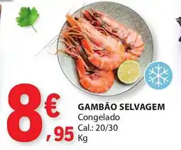 E.Leclerc Gambão selvagem promoção