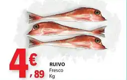 E.Leclerc Ruivo fresco promoção