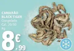 E.Leclerc Camarão black tiger promoção