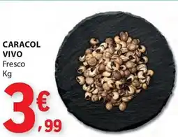 E.Leclerc Caracol vivo fresco promoção