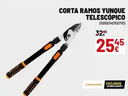 Brico Depôt Corta ramos yunque telescópico promoção