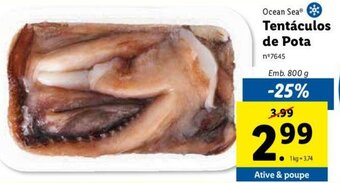 Lidl Ocean Sea Tentáculos de Pota 800g promoção