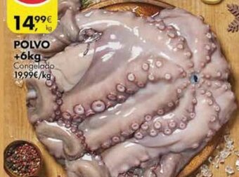 Polvo +6kg