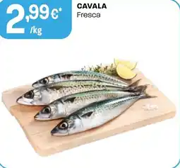 Intermarché CAVALA Fresca promoção