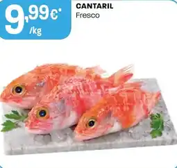 Intermarché Cantaril fresco promoção