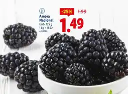 Lidl Amora Nacional promoção