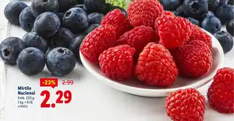 Lidl Mirtilo Nacional promoção