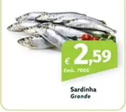 Roque Supermercados Sardinha Grande promoção
