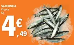 E.Leclerc Sardinha fresca promoção