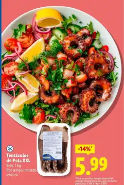 Lidl Tentáculos de Pota XXL promoção