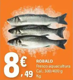 E.Leclerc Robalo promoção