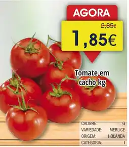 Froiz Tomate em cacho promoção