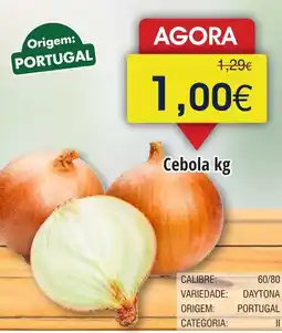Froiz Cebola promoção