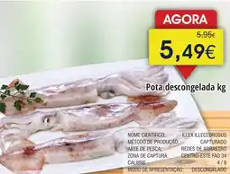 Froiz Pota descongelada promoção
