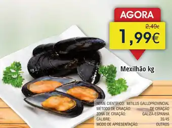 Froiz Mexilhão promoção