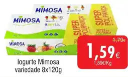 Froiz logurte Mimosa variedade promoção