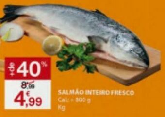 E.Leclerc Salmão promoção
