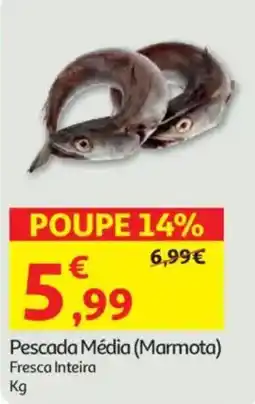 Auchan Pescada Média (Marmota) promoção