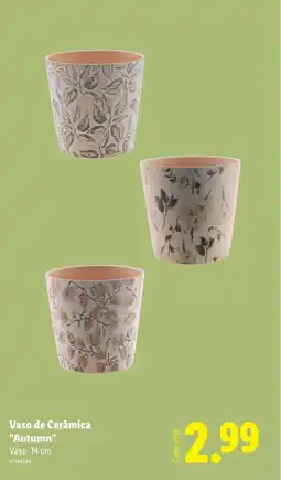 Lidl Vaso de Cerâmica "Autumn" promoção