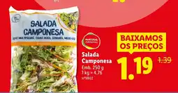 Lidl Salada Camponesa promoção