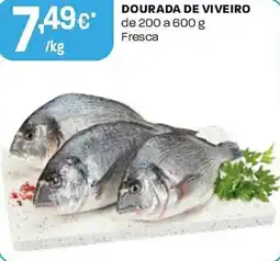 Intermarché Dourada de viveiro promoção