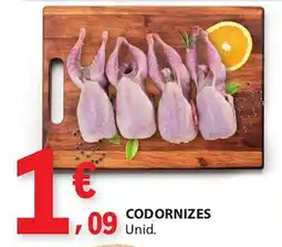 E.Leclerc Codornizes promoção