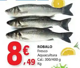 E.Leclerc Robalo promoção