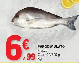 E.Leclerc Pargo mulato promoção