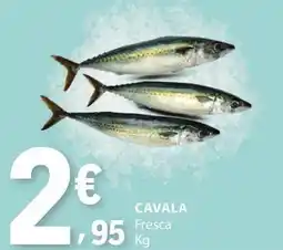 E.Leclerc Cavala fresca promoção