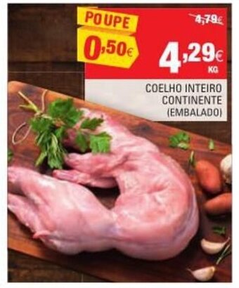 Continente Coelho Inteiro Continente promoção