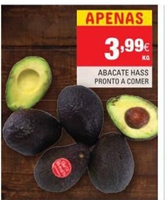 Abacate Hass Pronto a Comer