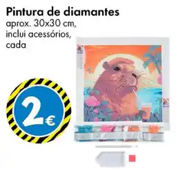TEDi Pintura de diamantes promoção