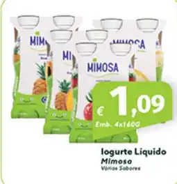 Roque Supermercados logurte Liquido Mimosa promoção