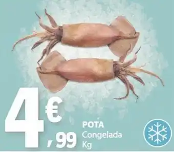 E.Leclerc POTA Congelada promoção