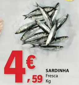 E.Leclerc Sardinha fresca promoção