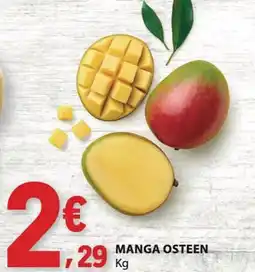 E.Leclerc Manga osteen promoção