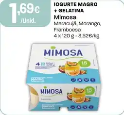Intermarché Iogurte magro + gelatina Mimosa promoção