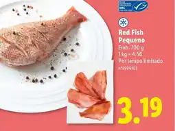 Lidl Red Fish Pequeno promoção