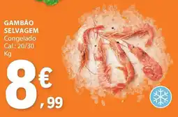 E.Leclerc Gambão selvagem promoção